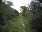 PICT0119 (Copiar).JPG