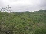PICT0121 (Copiar).JPG