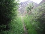 PICT0127 (Copiar).JPG