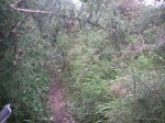 PICT0135 (Copiar).JPG