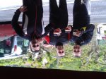 2013-06-01 13.04.38.jpg