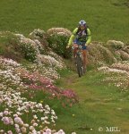 BTT senda costera 5.jpg