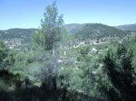 IMG_2156.JPG
