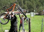 IMG_1014.jpg