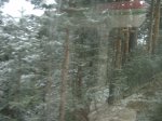 IMG_1045.jpg