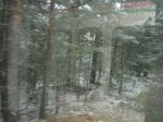 IMG_1047.jpg