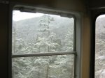 IMG_1048.jpg