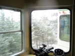IMG_1049.jpg