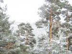 IMG_1052.jpg