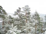 IMG_1054.jpg
