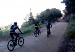 DSC00523.jpg