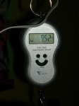 peso anthem light bike Evo II 006.jpg