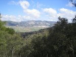 IMG_2533.JPG