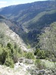 IMG_2541.JPG