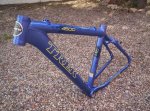 trek-01.jpg