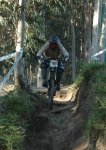 DSC_4384.jpg