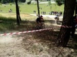 IMG_20130602_131004_1024x768.jpg