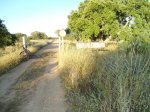 DSC01170.jpg