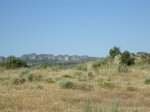 DSC01178.jpg