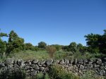DSC01180.jpg