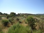 DSC01192.jpg