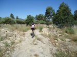 DSC01197.jpg
