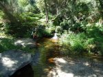 DSC01200.jpg