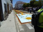 DSC01214.jpg