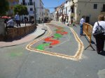 DSC01217.jpg