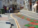 DSC01218.jpg