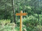 IMG-20130524-WA001.jpg