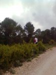 Imagen2213.jpg