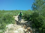 IMG-20130602-WA001.jpg