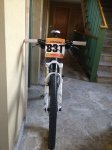 IMG_2226.jpg