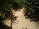 trialeras 002.jpg
