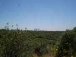 trialeras 003.jpg