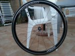 20130603_212450.jpg