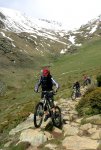v2 IMG_0317.jpg