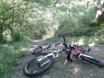 979874_10201202963065319_483849902_ob.JPG