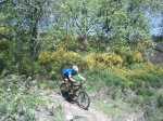 kdd VVa previa 2013 (35).jpg