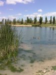 IMG_20130605_192841.jpg