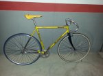 bici6.jpg