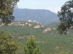 IMG-20130605-WA0012.jpg