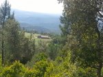 IMG-20130605-WA0002.jpg