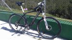 2013-03-15 13.14.24.jpg