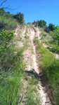 DSC00038_432x768.jpg