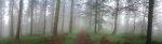 PANO_20130607_103555-1.jpg