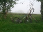 IMG_20130607_105328~01.jpg