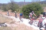 IMAG0905.jpg