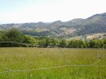 2013-06-06 12.17.34.jpg